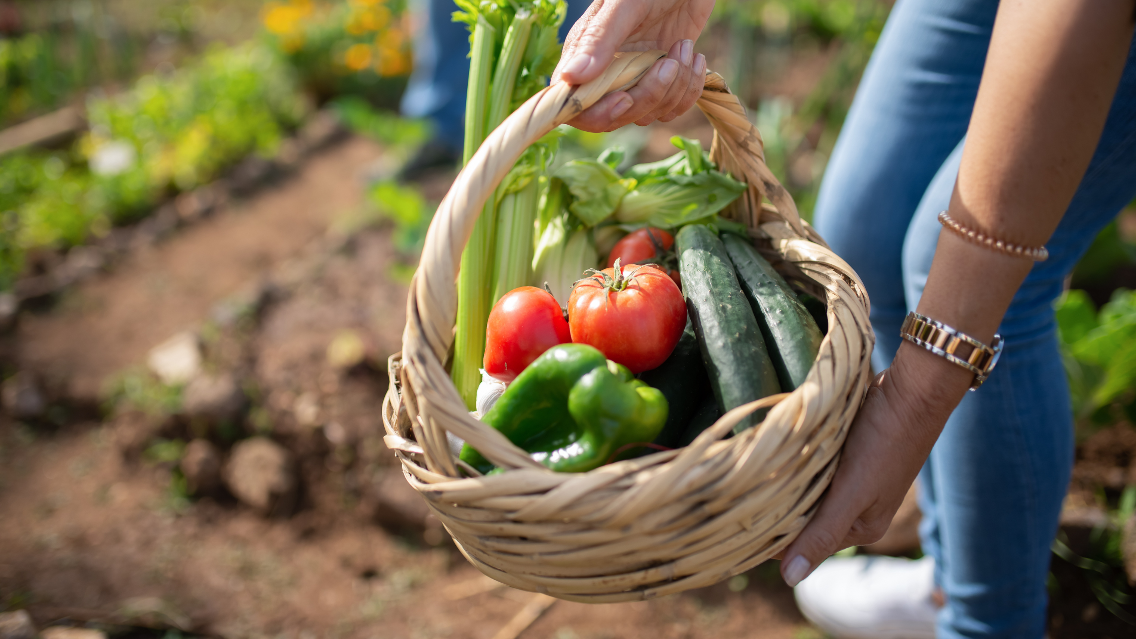 seasonal nutrition to help with pain